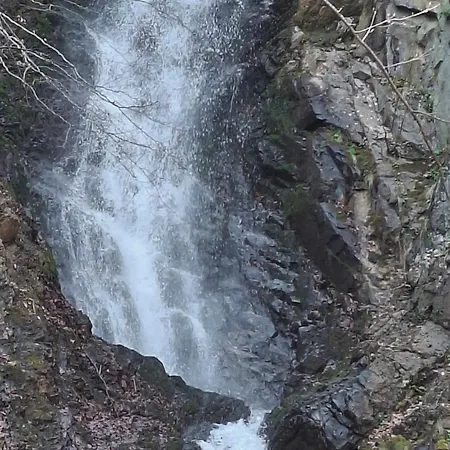 Kopaonik-president Kop App Katarina- Free Wellness&spa Apartament Kopaonik